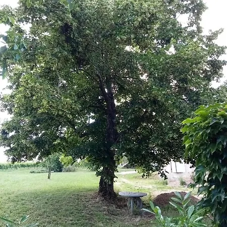 度假居 Le Domaine D Anaelys *